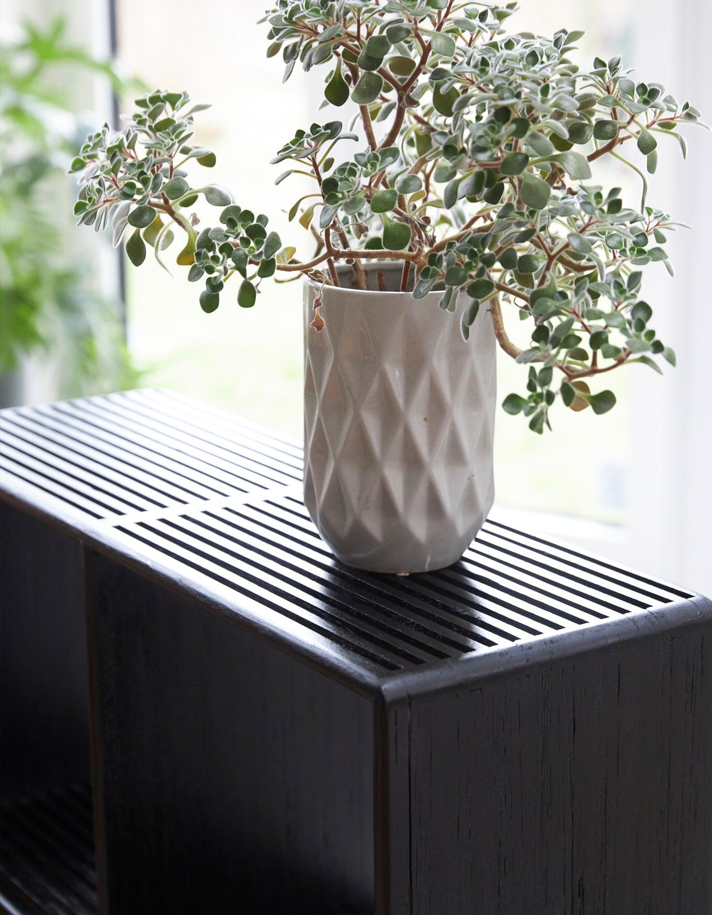 RECYCLED: Wall Shelf of Recycled Teak Wood