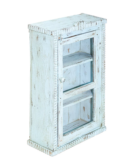 ORIGINAL One-of-a-kind Skab