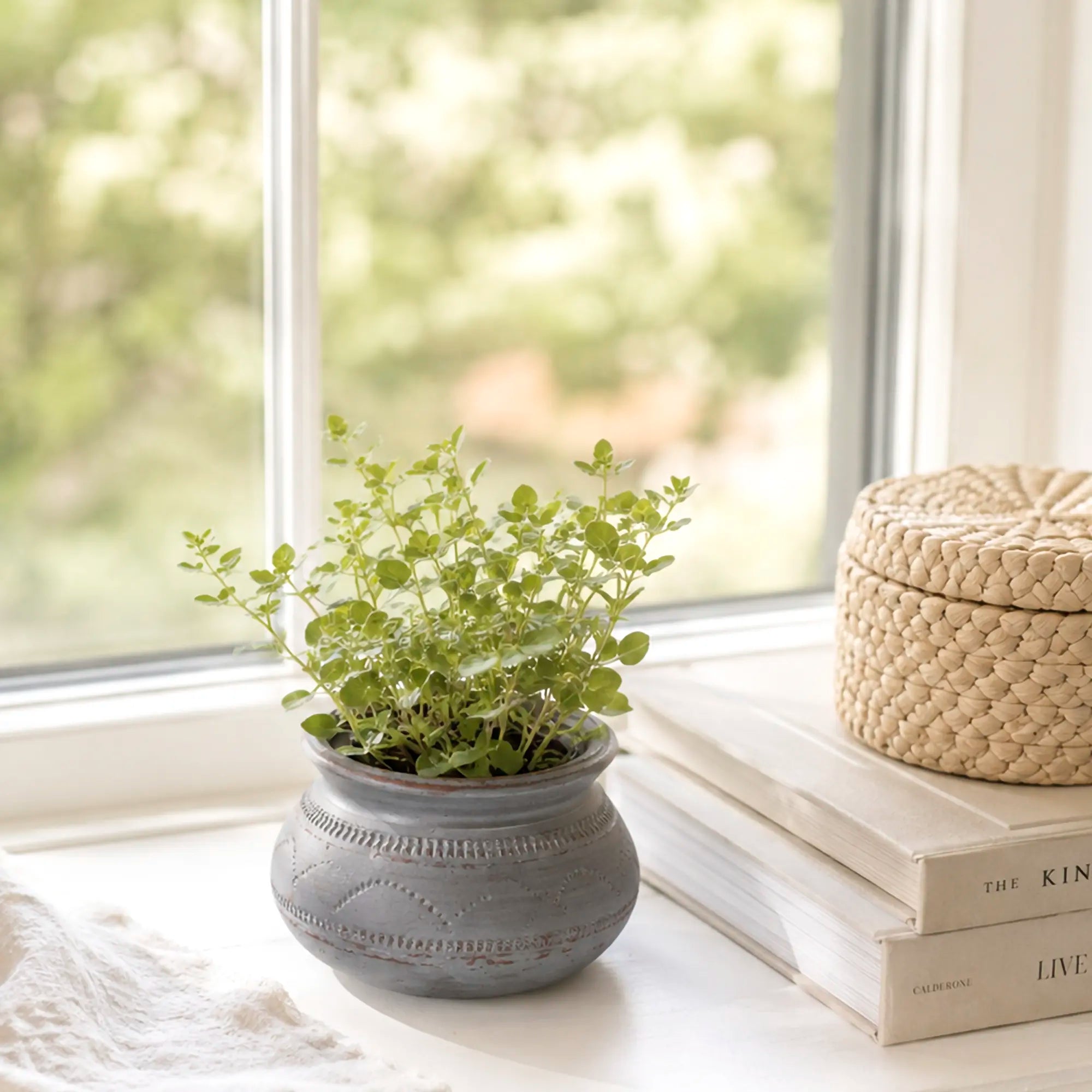 HANDMADE: Small Grey Clay Pot